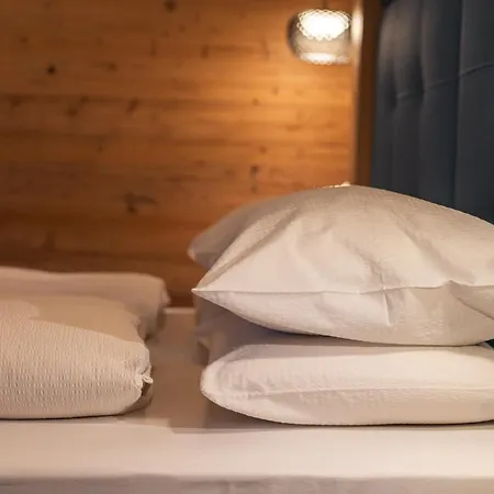 Dolomiti Luxury Mountain View Bike Friendly Aparthotel